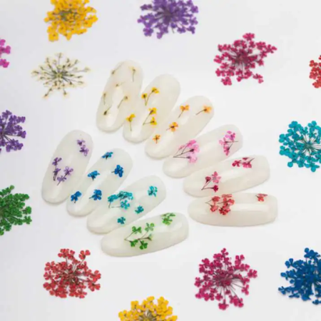 Ozdoba Do Paznokci Suszone Kwiatki - Turkus 