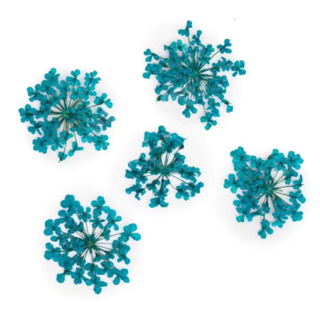 Ozdoba Do Paznokci Suszone Kwiatki - Turkus 