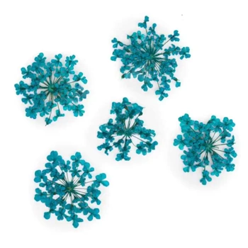 Ozdoba Do Paznokci Suszone Kwiatki - Turkus 