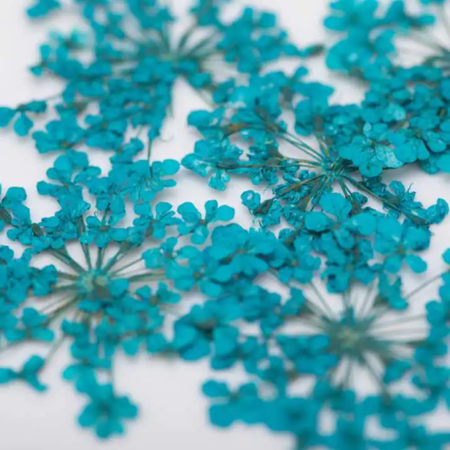 Ozdoba Do Paznokci Suszone Kwiatki - Turkus 